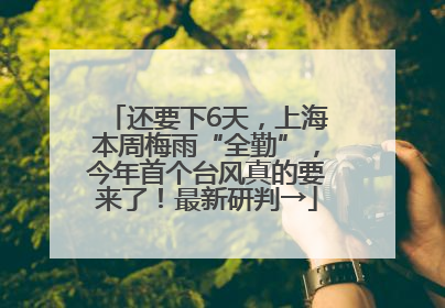 还要下6天，上海本周梅雨“全勤”，今年首个台风真的要来了！最新研判→