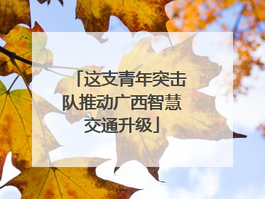 这支青年突击队推动广西智慧交通升级