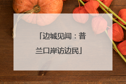 边城见闻：普兰口岸访边民