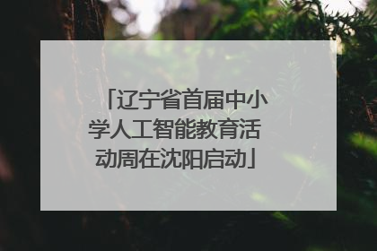 辽宁省首届中小学人工智能教育活动周在沈阳启动