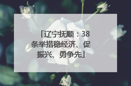 辽宁抚顺：38条举措稳经济、促振兴、勇争先