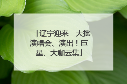 辽宁迎来一大批演唱会、演出！巨星、大咖云集