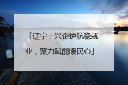 辽宁：兴企护航稳就业，聚力赋能暖民心