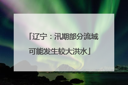 辽宁：汛期部分流域可能发生较大洪水