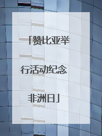 赞比亚举行活动纪念非洲日