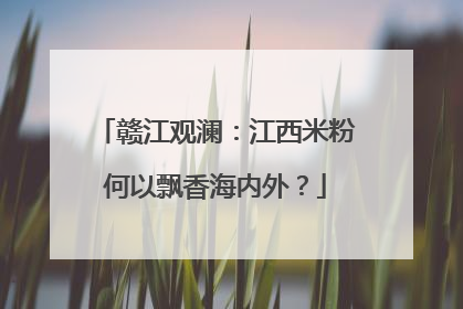 赣江观澜：江西米粉何以飘香海内外？