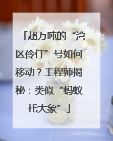 超万吨的“湾区伶仃”号如何移动？工程师揭秘：类似“蚂蚁托大象”
