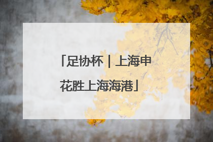 足协杯｜上海申花胜上海海港