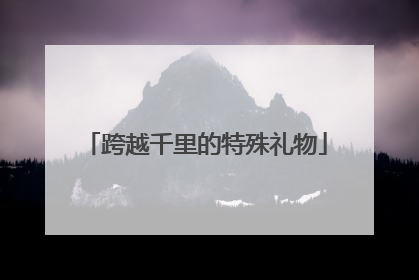 跨越千里的特殊礼物