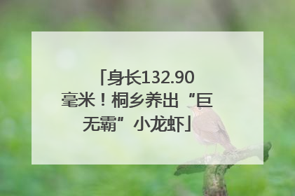 身长132.90毫米！桐乡养出“巨无霸”小龙虾