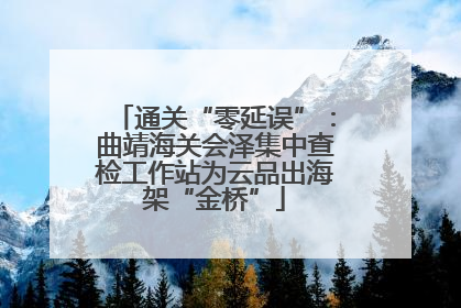 通关“零延误”：曲靖海关会泽集中查检工作站为云品出海架“金桥”