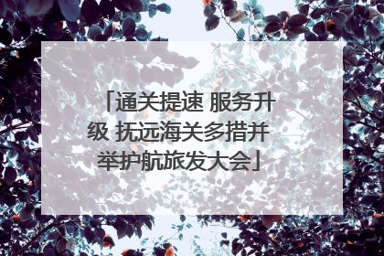 通关提速 服务升级 抚远海关多措并举护航旅发大会