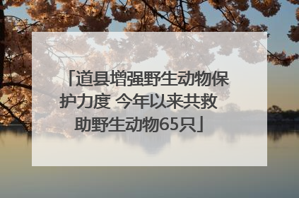 道县增强野生动物保护力度 今年以来共救助野生动物65只