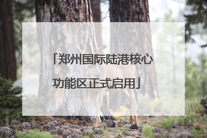 郑州国际陆港核心功能区正式启用