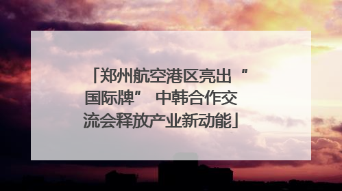 郑州航空港区亮出“国际牌” 中韩合作交流会释放产业新动能