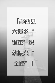 郧西县六郎乡“银茧”织就振兴“金路”