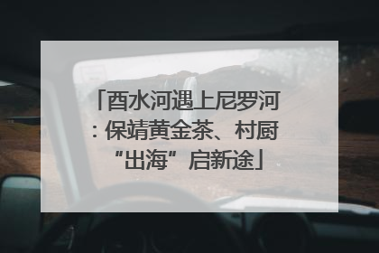 酉水河遇上尼罗河：保靖黄金茶、村厨“出海”启新途