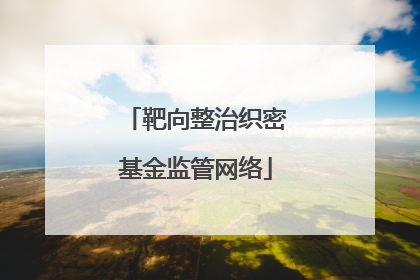 靶向整治织密基金监管网络