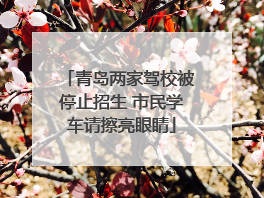 青岛两家驾校被停止招生 市民学车请擦亮眼睛