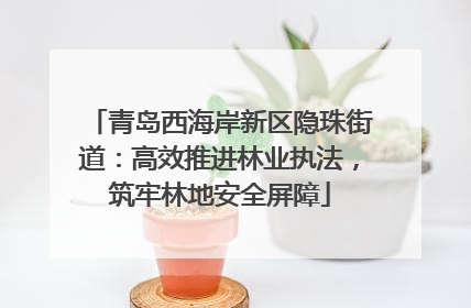 青岛西海岸新区隐珠街道：高效推进林业执法，筑牢林地安全屏障