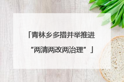 青林乡多措并举推进“两清两改两治理”