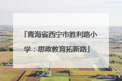 青海省西宁市胜利路小学：思政教育拓新路