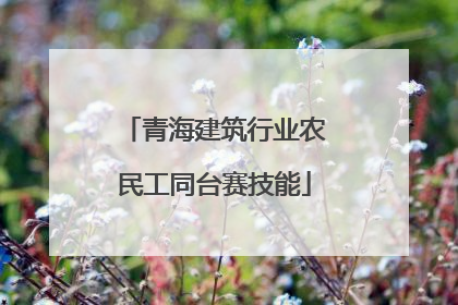 青海建筑行业农民工同台赛技能