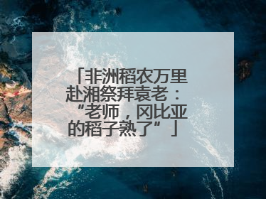 非洲稻农万里赴湘祭拜袁老：“老师，冈比亚的稻子熟了”