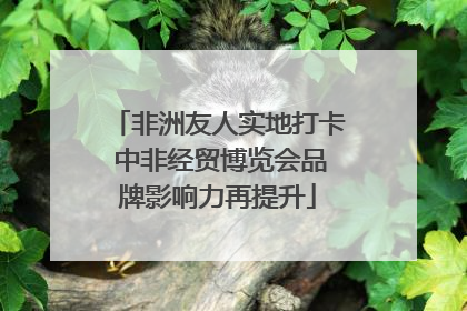 非洲友人实地打卡 中非经贸博览会品牌影响力再提升