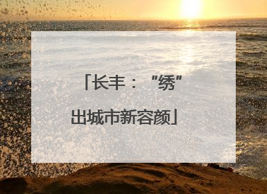 长丰：“绣”出城市新容颜