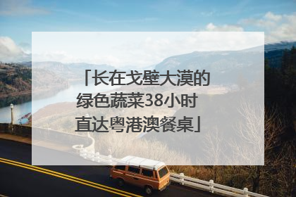 长在戈壁大漠的绿色蔬菜38小时直达粤港澳餐桌