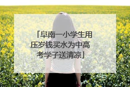 阜南一小学生用压岁钱买水为中高考学子送清凉