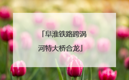 阜淮铁路跨涡河特大桥合龙