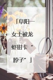 阜阳一女士被龙虾钳卡“脖子”