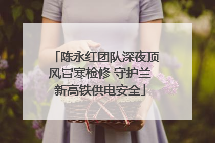 陈永红团队深夜顶风冒寒检修 守护兰新高铁供电安全