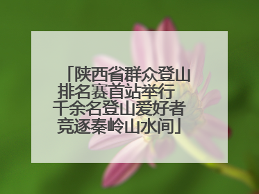 陕西省群众登山排名赛首站举行 千余名登山爱好者竞逐秦岭山水间