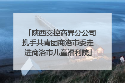 陕西交控商界分公司携手共青团商洛市委走进商洛市儿童福利院