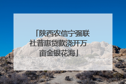 陕西农信宁强联社普惠贷款浇开万亩金银花海