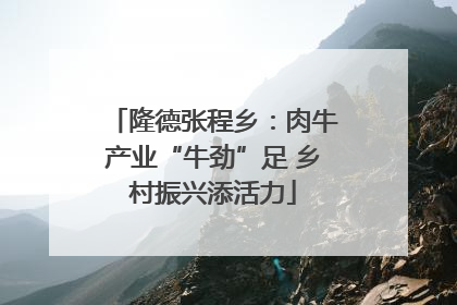隆德张程乡：肉牛产业“牛劲”足 乡村振兴添活力