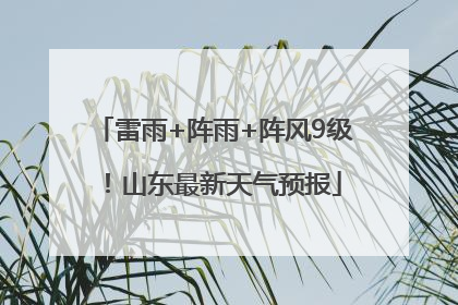 雷雨+阵雨+阵风9级！山东最新天气预报
