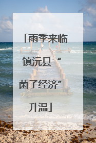 雨季来临 镇沅县“菌子经济”升温