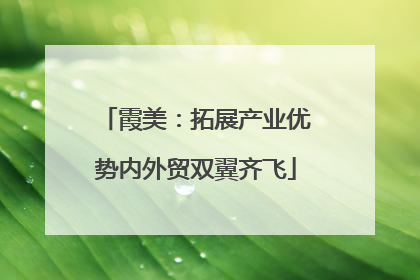 霞美：拓展产业优势内外贸双翼齐飞