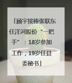 顾宇接棒张联东任洋河股份“一把手”：18岁参加工作，19岁任县委秘书