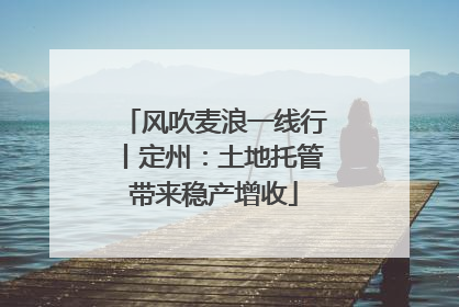 风吹麦浪一线行丨定州：土地托管带来稳产增收
