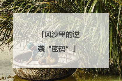 风沙里的逆袭“密码”