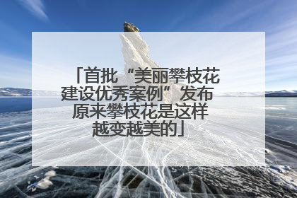 首批“美丽攀枝花建设优秀案例”发布 原来攀枝花是这样越变越美的