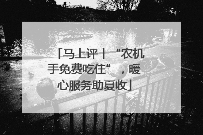 马上评丨“农机手免费吃住”，暖心服务助夏收