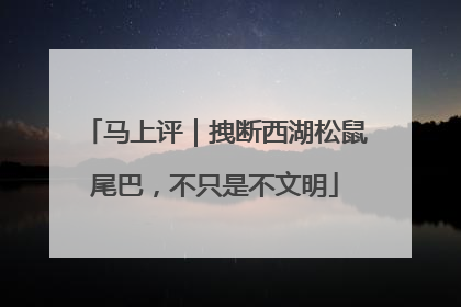 马上评｜拽断西湖松鼠尾巴，不只是不文明