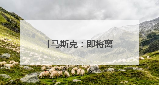 马斯克：即将离开特朗普政府