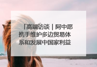 高端访谈｜阿中愿携手维护多边贸易体系和发展中国家利益——访阿拉伯议会议长亚马希